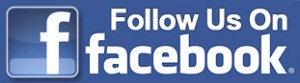 facebook follow us button
